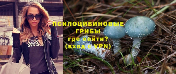 сатива Мегион