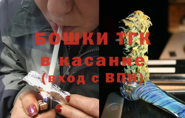 сатива Мегион