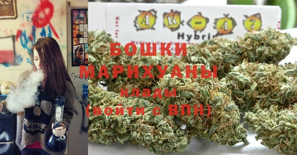 сатива Мегион