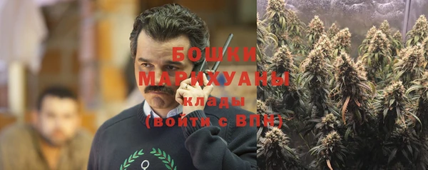 прущие крисы Медвежьегорск