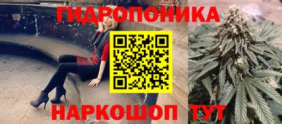 дурь Гай