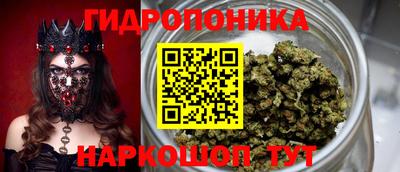 дурь Гай