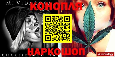 дурь Гай