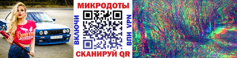 Псилоцибиновые грибы Psilocybe  Дивногорск 