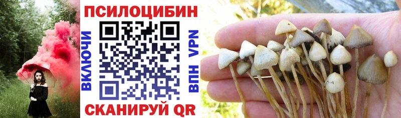 Галлюциногенные грибы Psilocybe Дивногорск