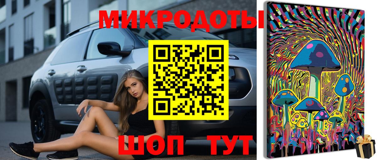 Галлюциногенные грибы Psilocybe Дивногорск