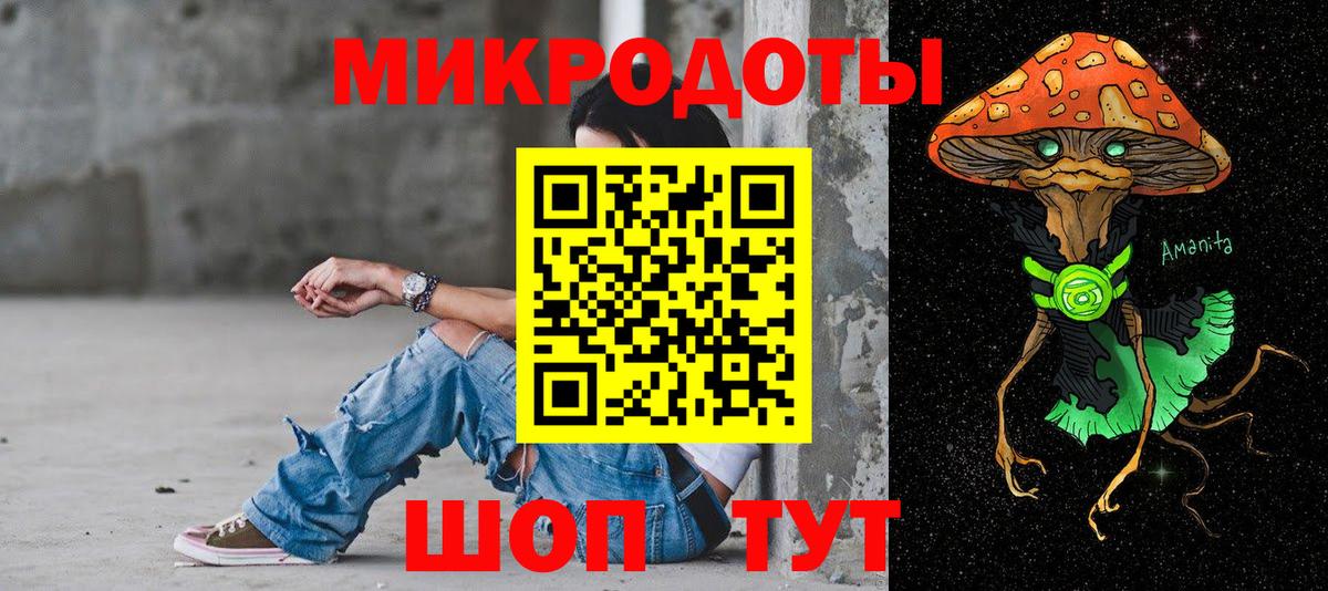 Галлюциногенные грибы Cubensis Дивногорск