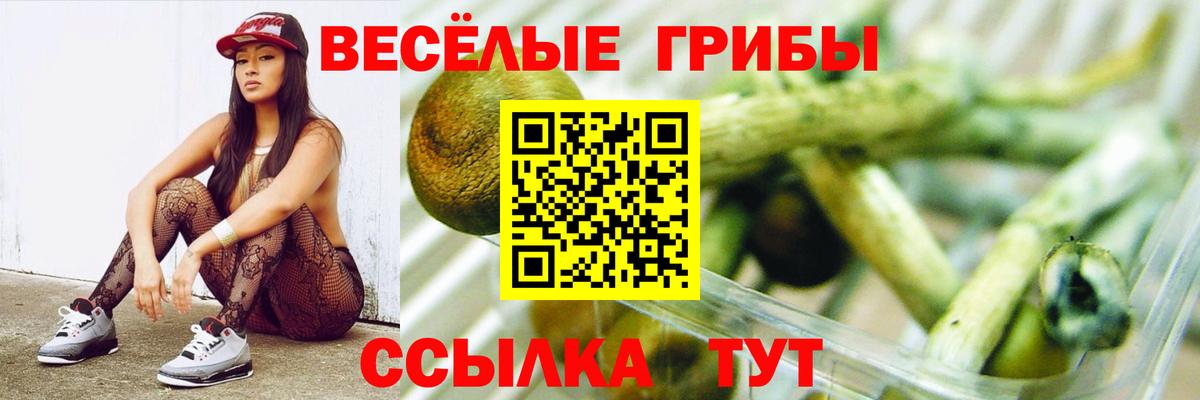 Псилоцибиновые грибы Psilocybe  Вход с VPN  Дивногорск 